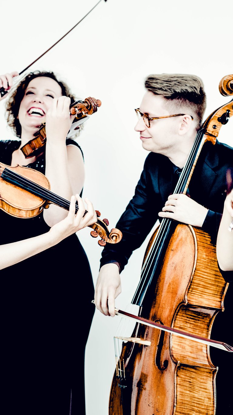 Chaos String Quartet
