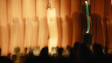 A blurred image of a lecture with a speaker on stage in front of a curtain. Audience members are in the foreground.