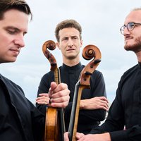 Busch Trio