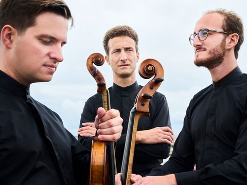 Busch Trio: Tschaikowsky