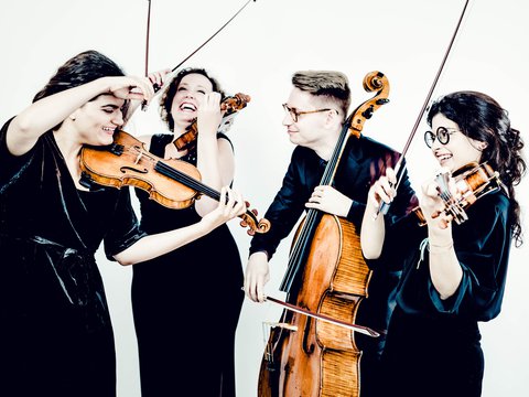 Chaos String Quartet