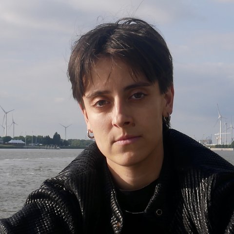 Raphael Malfliet
