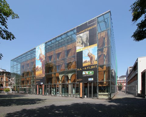Landesmuseum Bonn ©HOWI - Horsch, Willy, CC BY 3.0 <https://creativecommons.org/licenses/by/3.0>, via Wikimedia Commons