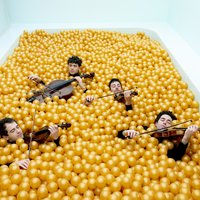 vision string quartet