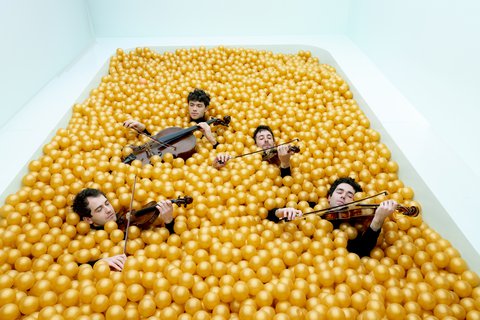 vision string quartet  © Harald Hoffmann