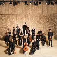 Eine Gruppe klassischer Musiker posiert mit ihren Instrumenten auf einer hölzernen Konzertbühne. Sie tragen elegante, dunkle Kleidung.