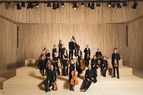 Eine Gruppe klassischer Musiker posiert mit ihren Instrumenten auf einer hölzernen Konzertbühne. Sie tragen elegante, dunkle Kleidung.