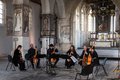 Hathor Consort  © Robbrecht Desmet