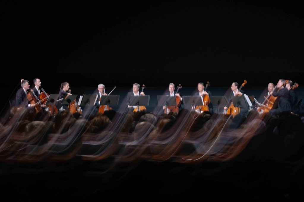 The 12 Cellists - © Nekame Klasohm