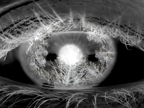 24 Levers to Shift the World