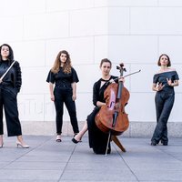 ensemble in transition