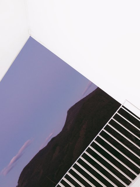 From the Rheinaue to the Siebengebirge: nature in and around Bonn has always been a source of inspiration for poets and thinkers. Did Sophia Hegewald capture Beethoven's dreamy gaze in her paintings as he thought about a new work? We can only guess ... - © Sophia Hegewald