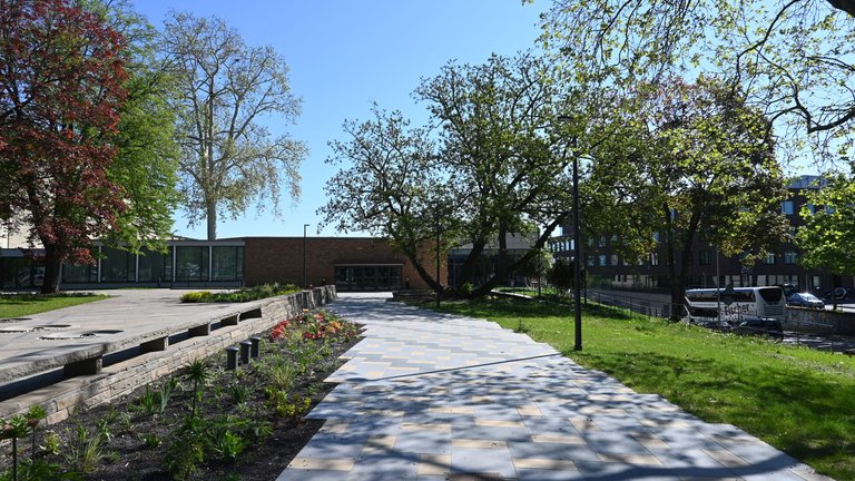 A sunny day in a park with trees and a paved path. Steps and flower beds are on the left.