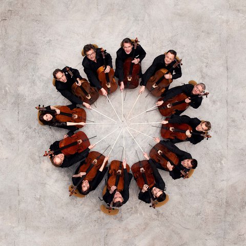 Die 12 Cellisten - © Uwe Arens