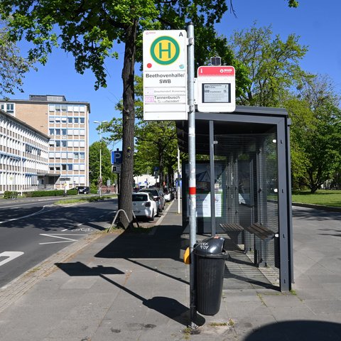 Beethovenfest Bonn