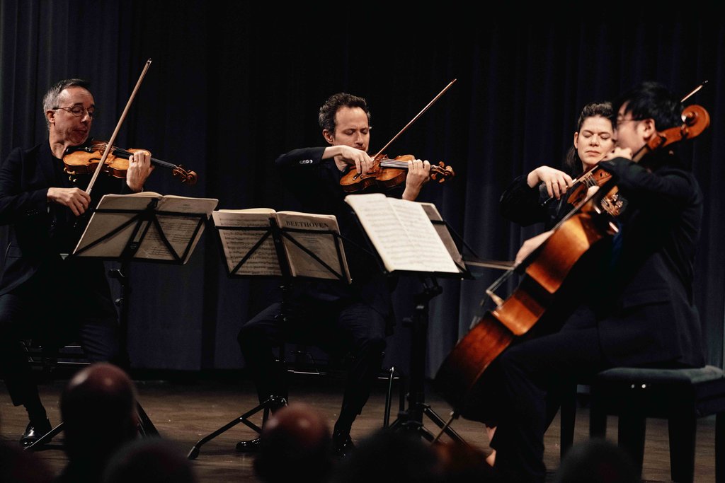 A string quartet performs on stage. Four musicians, including two violinists, a violist, and a cellist, are focused. Music stands are in front.