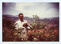 Thomas Mann in Pacific Palisades, about 1946  © ETH-Bibliothek Zürich, Thomas-Mann-Archiv / Fotograf: Unbekannt / TMA_5373