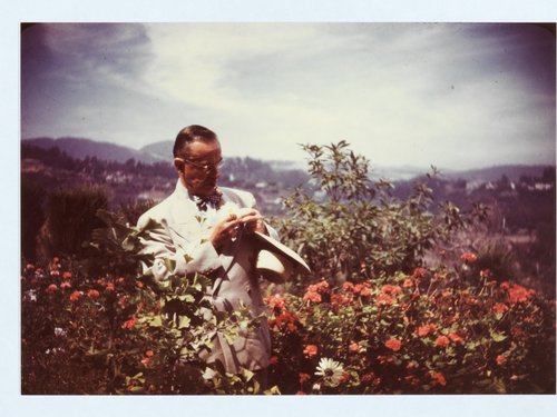 Thomas Mann: Ultra musikbesessen