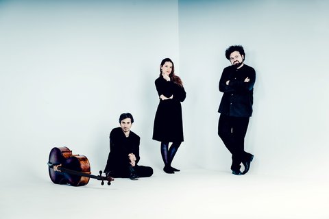 Trio Gaspard  © Andrej Grilc