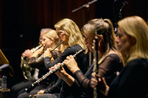 Beethoven Orchester Bonn - © Sebastian Wolf