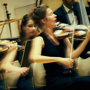 Eine Gruppe Musiker spielt in einem Orchester. Die Violinisten bewegen sich im Takt, was ihre Leidenschaft für die Musik zeigt.