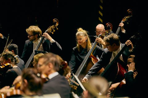 Das Deutsche Symphonie-Orchester Berlin beim Beethovenfest 2024 - © Sebastian Wolf
