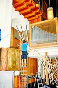 Das Nest unter der Orgel wächst empor.