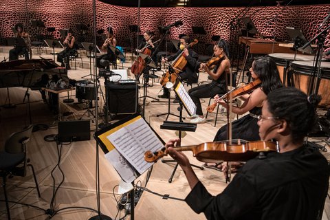 The String Archestra - © Georg Tedeschi