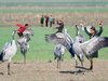 Familienkonzert: Weltenwandern